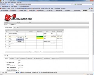 Risk Management Tool